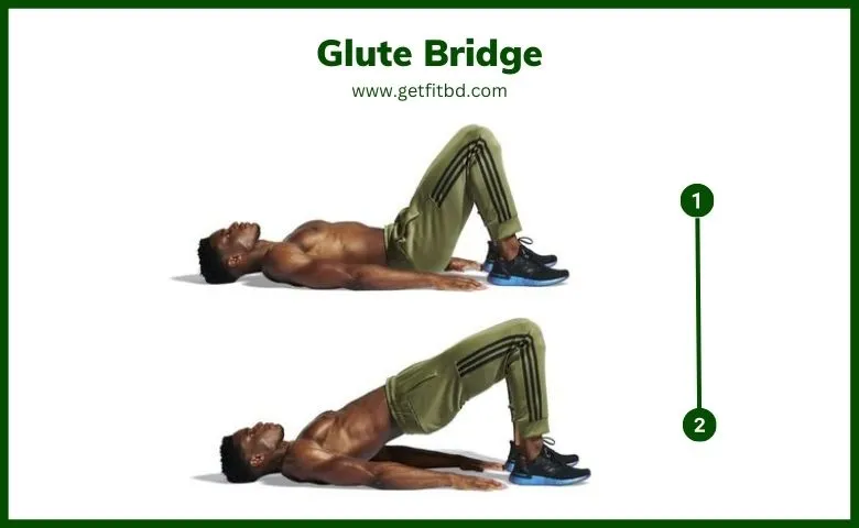 Glute Bridge Exercise